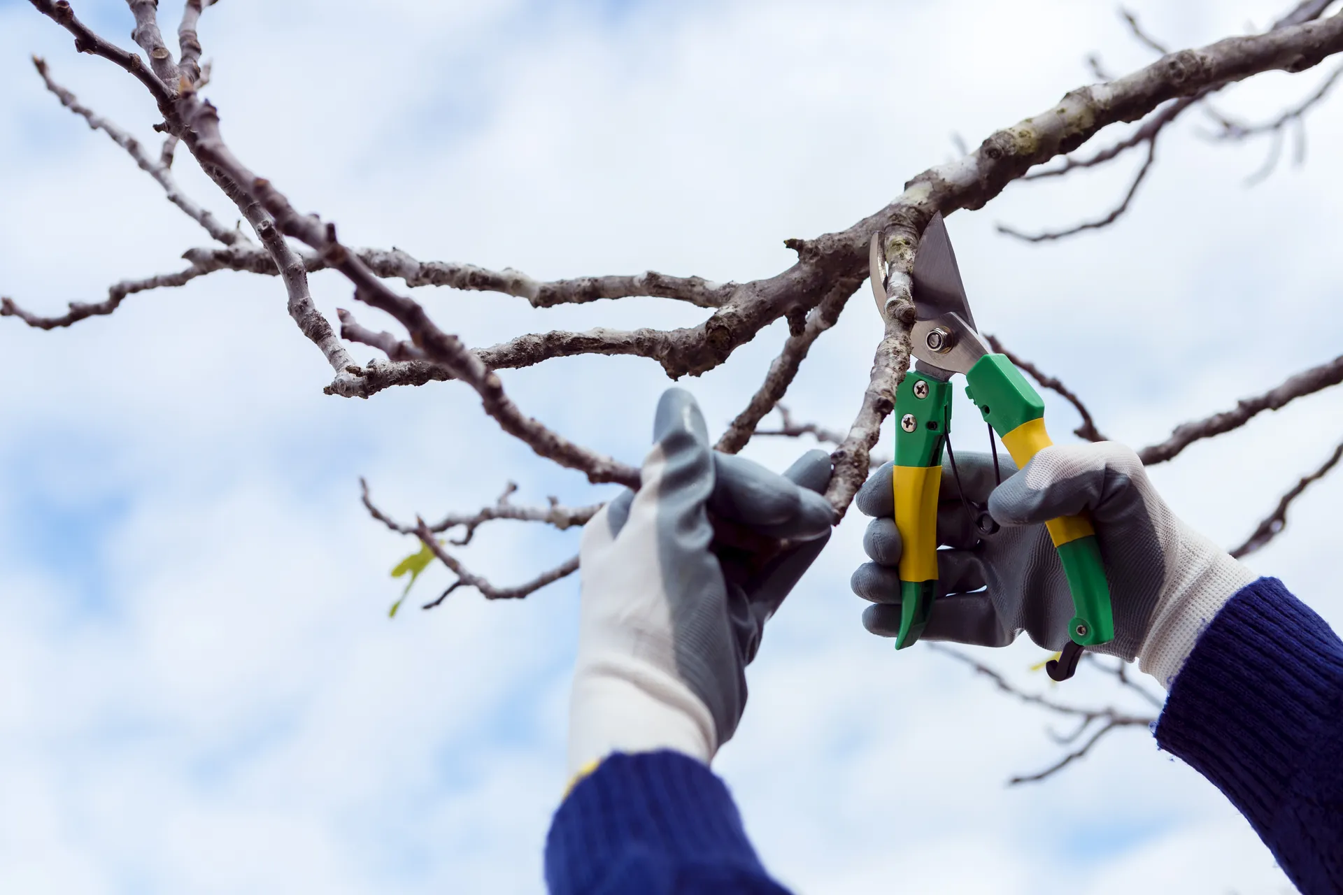 Storm Damage Cleanup - Smyrna, GA